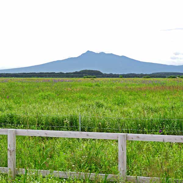 小清水原生花園 野鳥観察デッキ