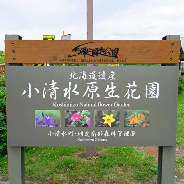 小清水原生花園