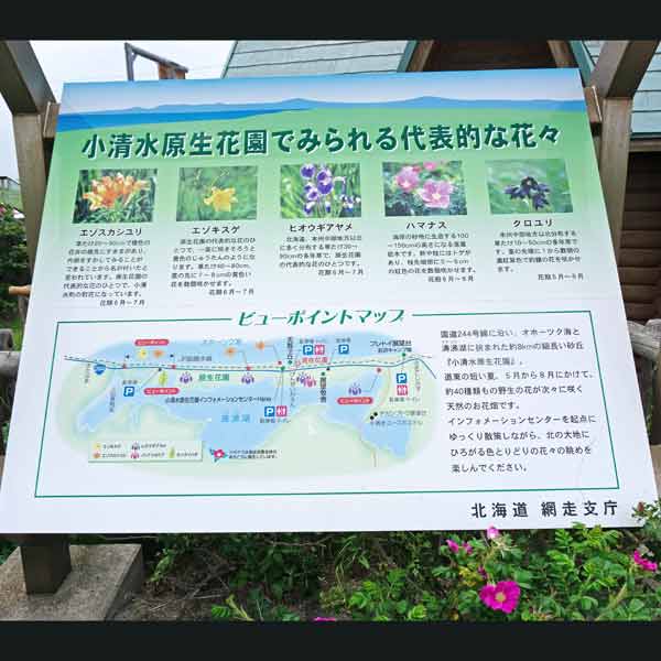 看板 代表的な花々について