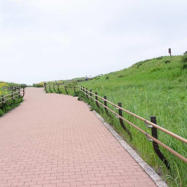 小清水原生花園 遊歩道