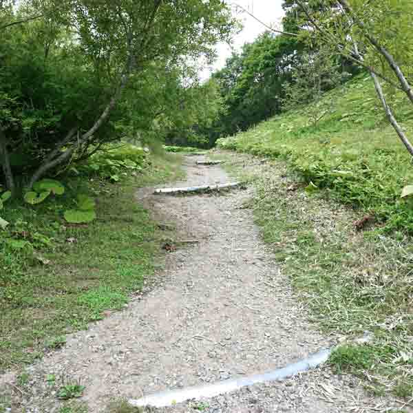 釧路湿原 コッタロ湿原展望台 遊歩道