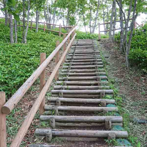 釧路湿原 コッタロ湿原展望台 遊歩道