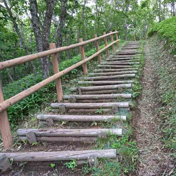 釧路湿原 コッタロ湿原展望台 遊歩道