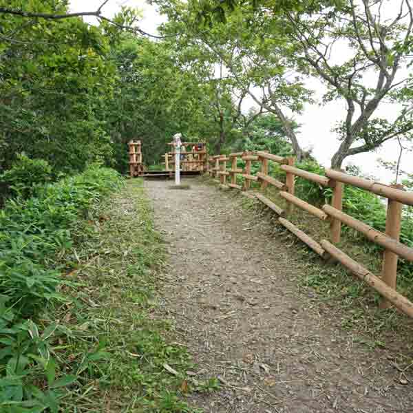釧路湿原 コッタロ湿原展望台