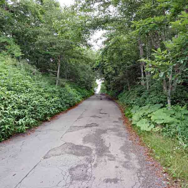 釧路湿原 細岡展望台 車道