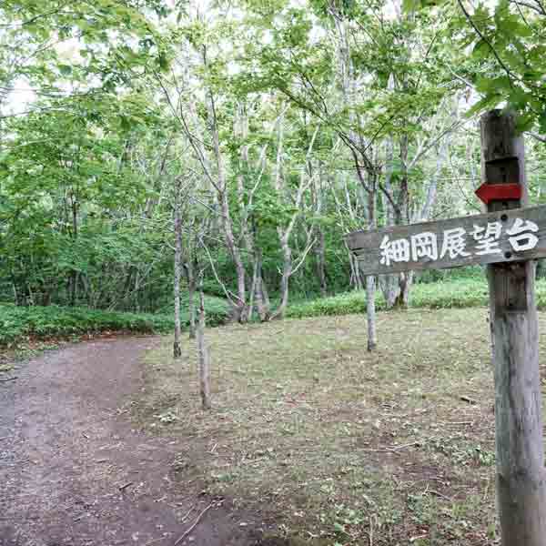 釧路湿原 細岡展望台 遊歩道
