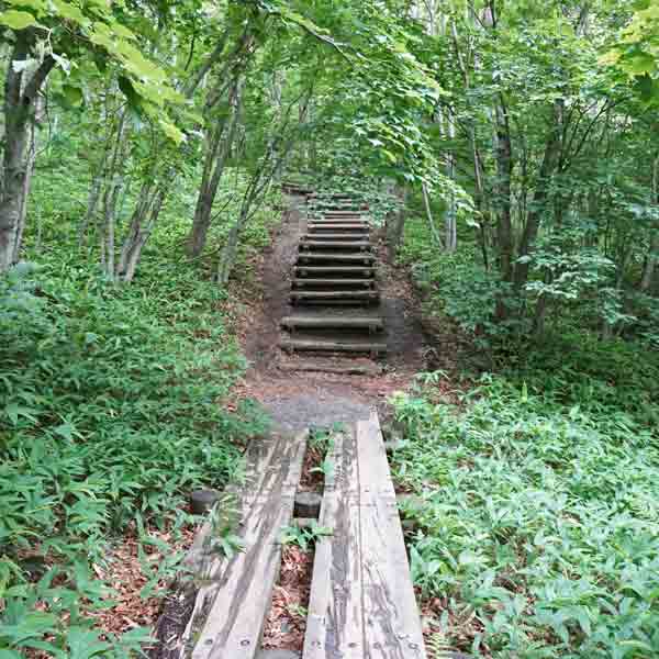 釧路湿原 細岡展望台 遊歩道