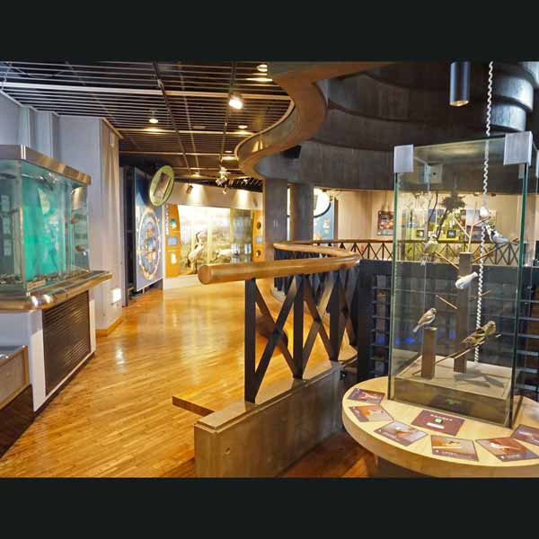 釧路湿原 釧路市湿原展望台 展示室