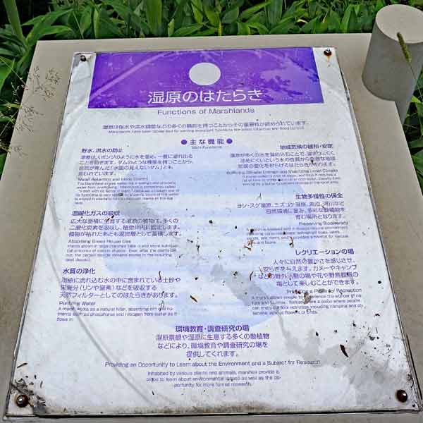 看板 湿原の働きについて