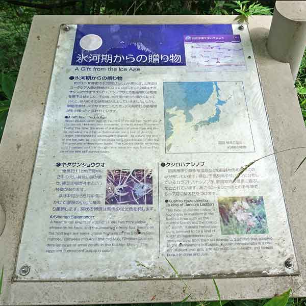 看板 氷河期からの贈り物について