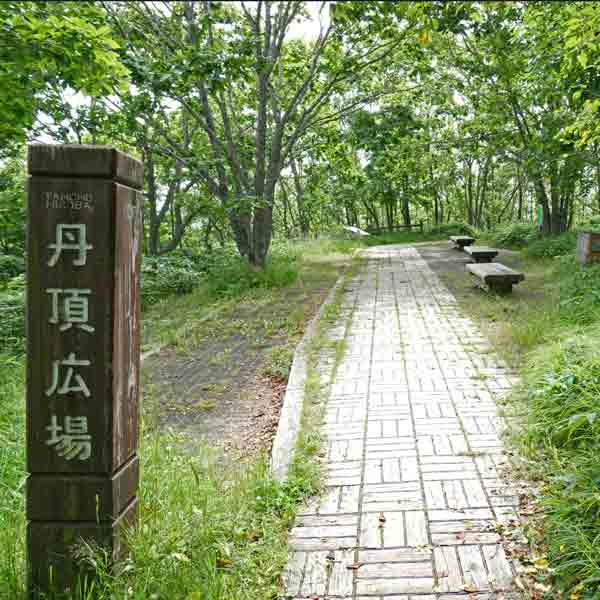 釧路湿原 湿原展望遊歩道 丹頂広場