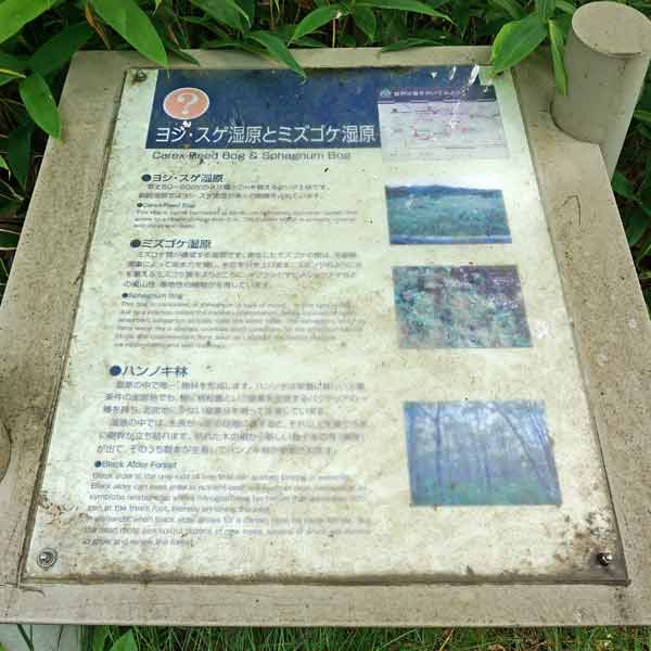 看板 ヨシ・スゲ湿原とミズゴケ湿原について