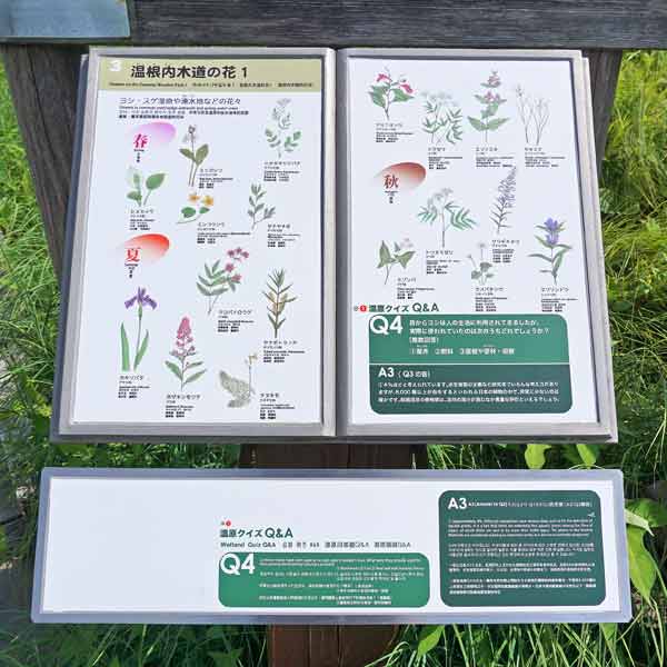 看板 ３．温根内木道の花１