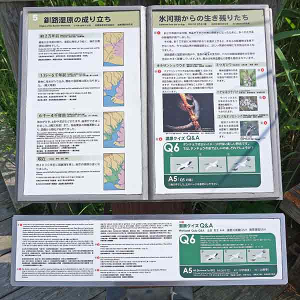 看板 ５．釧路湿原の成り立ち／氷河期からの生き残りたち