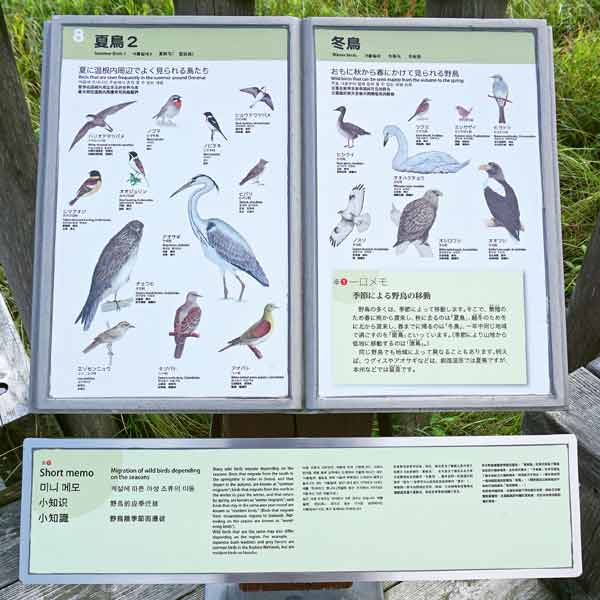 看板 ８．夏鳥２／冬鳥