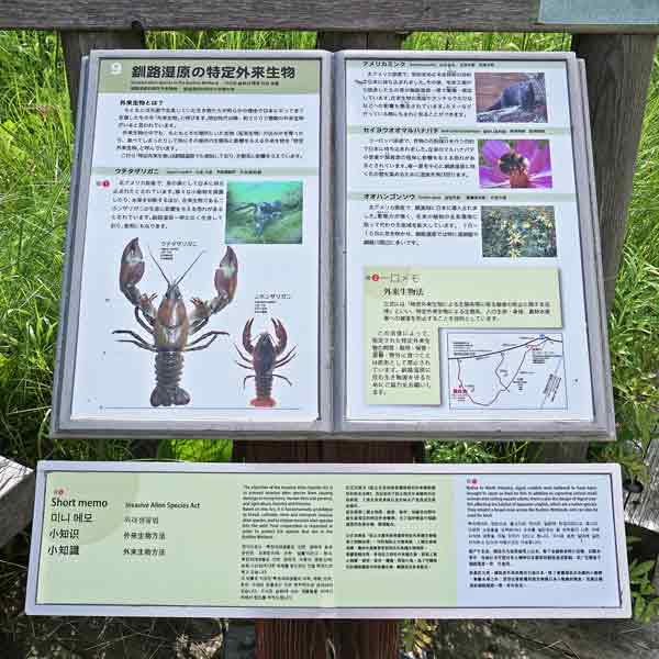 看板 ９．釧路湿原の特定外来生物