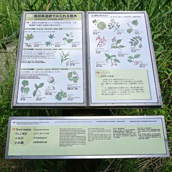 看板 １０．鶴居軌道跡でみられる樹木
