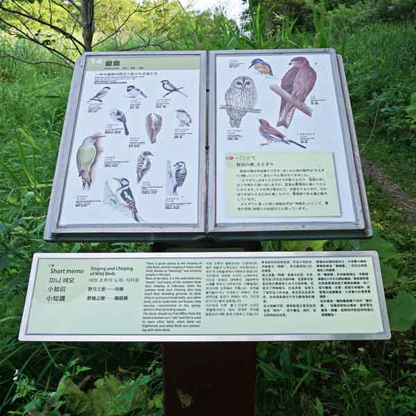 看板 １４．留鳥