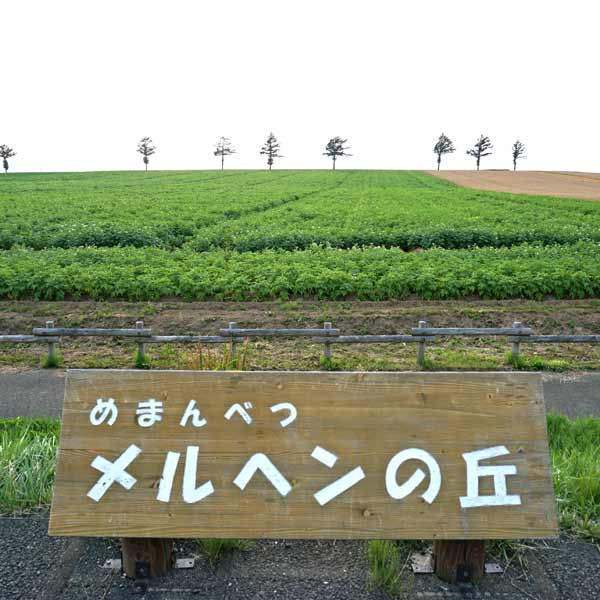 メルヘンの丘駐車場