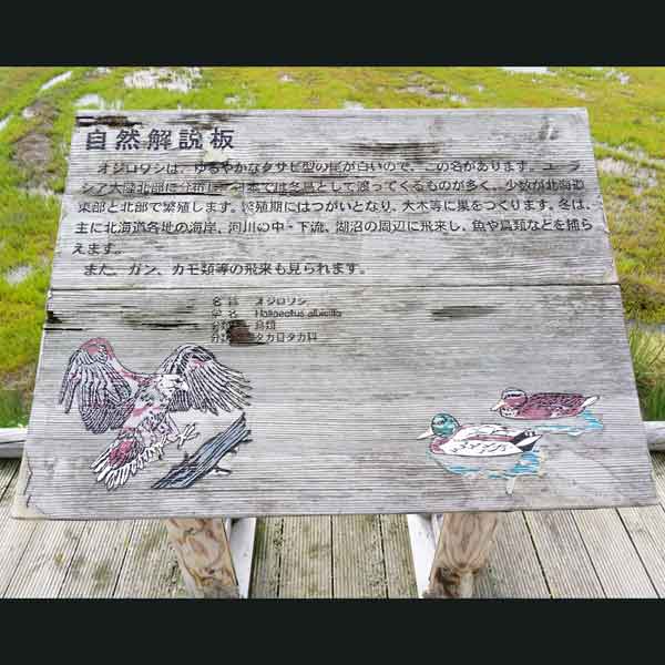 看板 自然解説版
