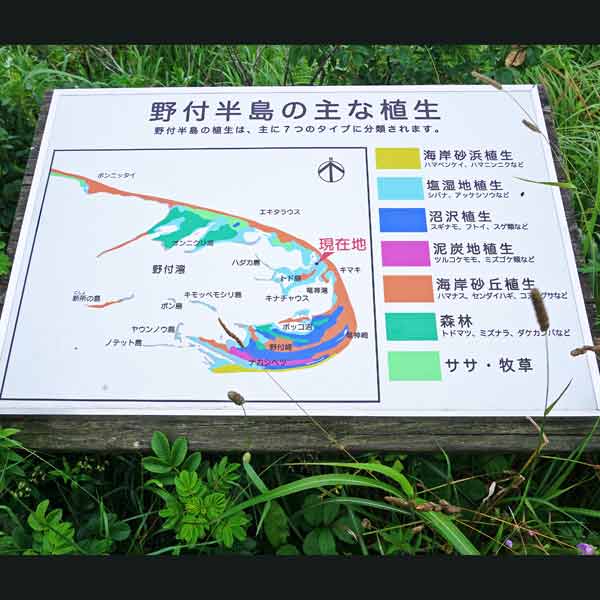 看板 野付半島の主な植生について