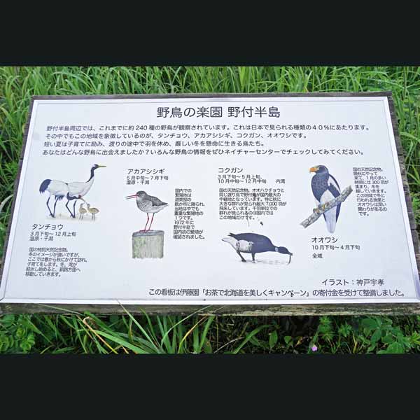 看板 野鳥の楽園野付半島について