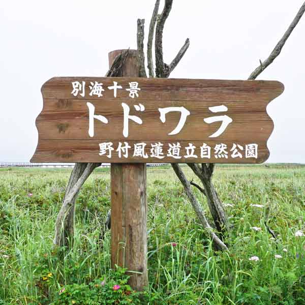 別海十景トドワラ