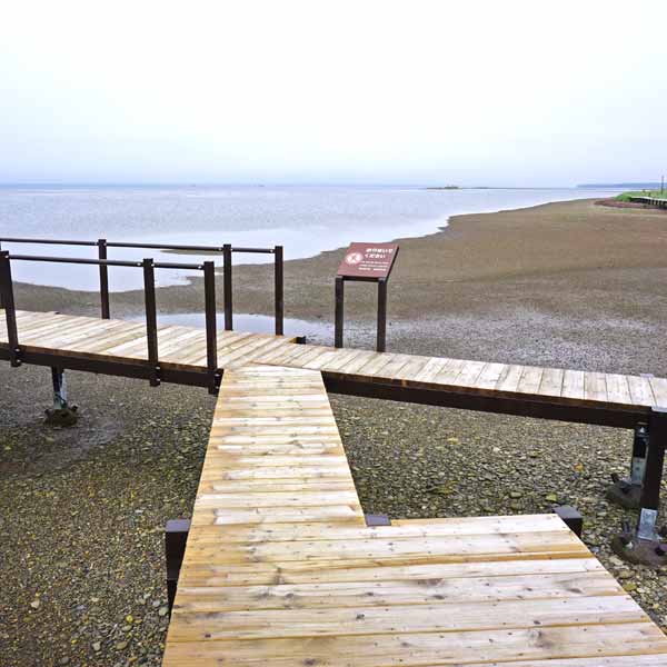 トドワラ 木道分岐