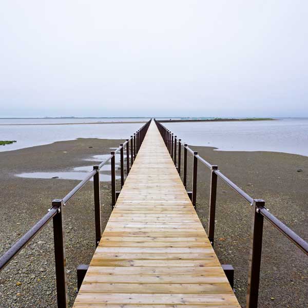 野付半島 木道