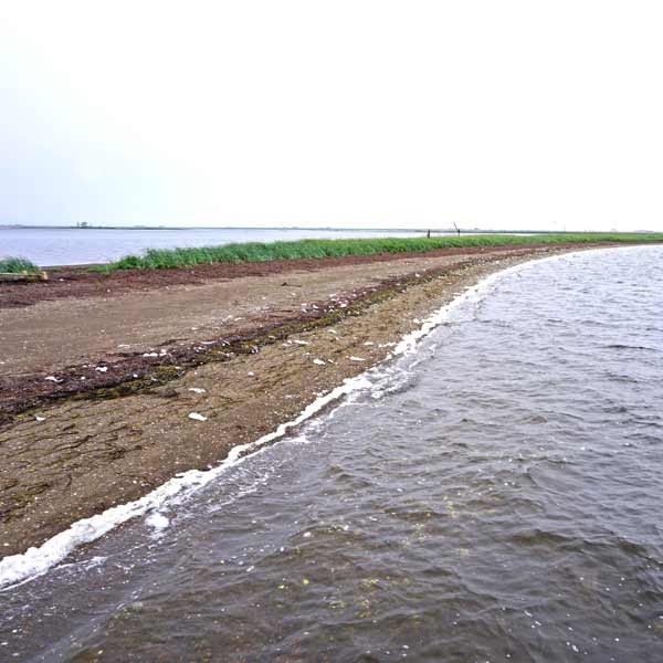 野付半島 トドワラ