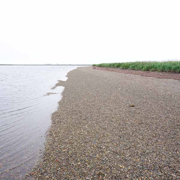 野付半島 トドワラ