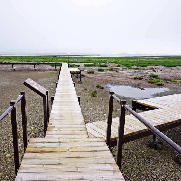 野付半島 木道分岐