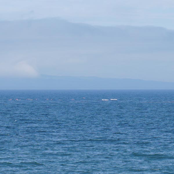 国後島