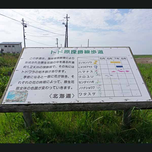 看板 トド原探勝線歩道について