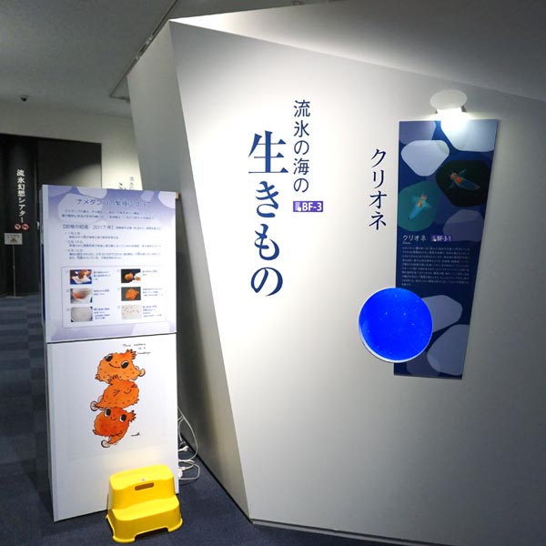 オホーツク流氷館 飼育展示コーナー