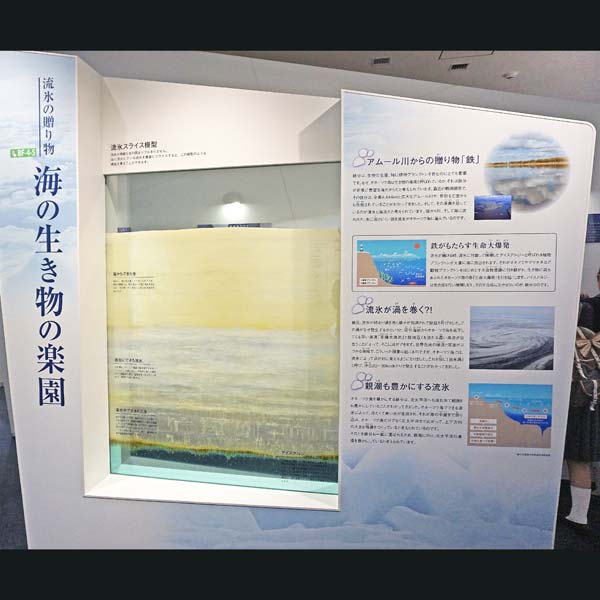 看板 海の生き物の楽園について