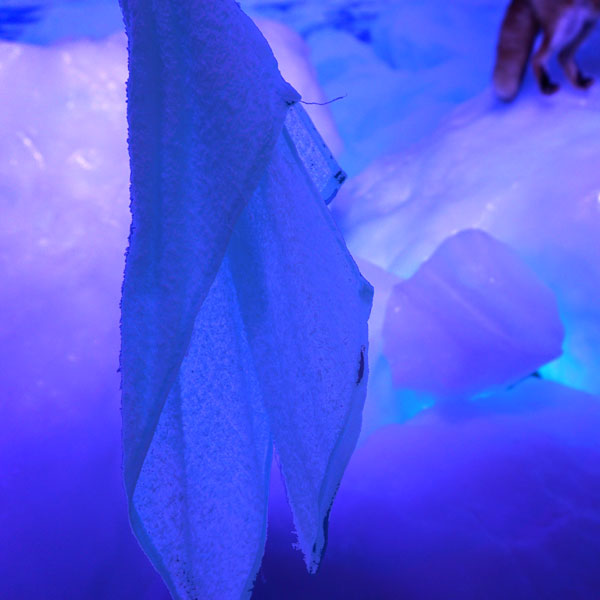 オホーツク流氷館 流氷体感室