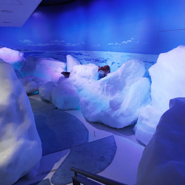 オホーツク流氷館 流氷体感室