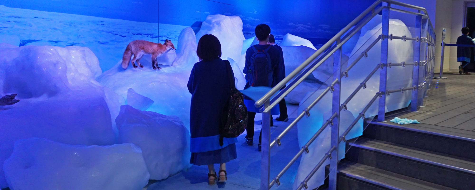 オホーツク流氷館