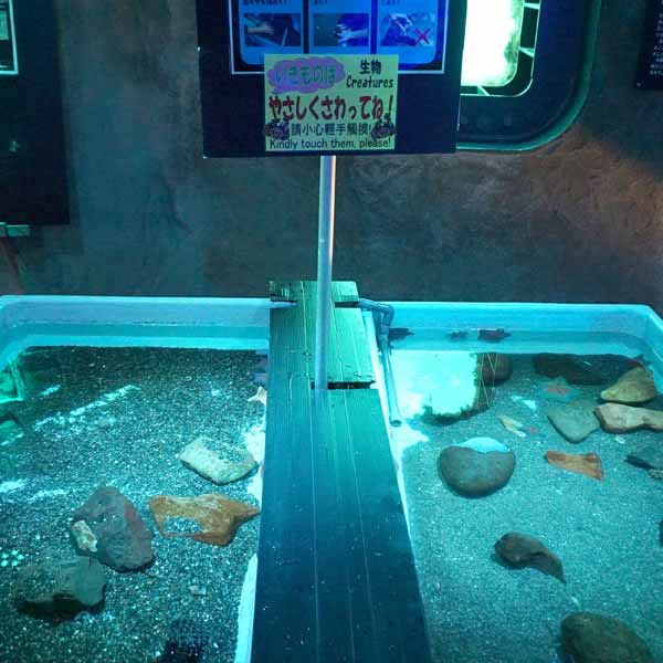 オホーツクタワー