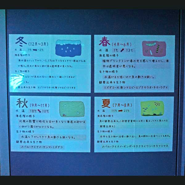 看板 海の中の様子について