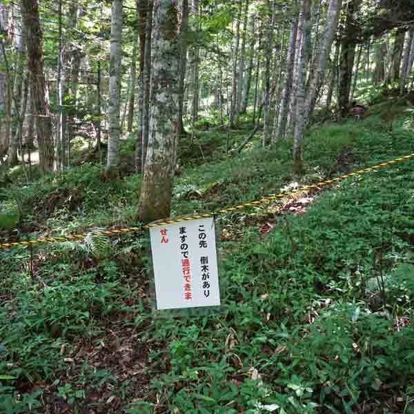 オンネトー 南登口方面