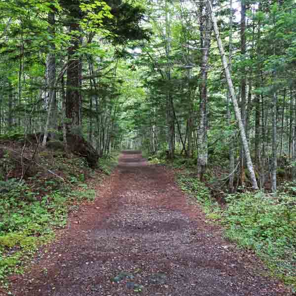 オンネトー湯の滝 散策路