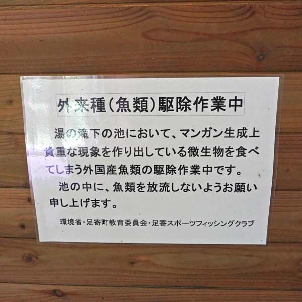 看板 外来種（魚類）駆除作業中について
