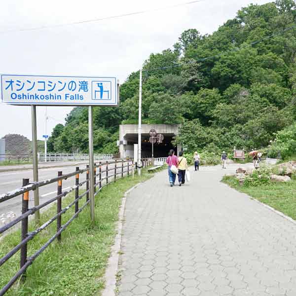 オシンコシンの滝 歩道