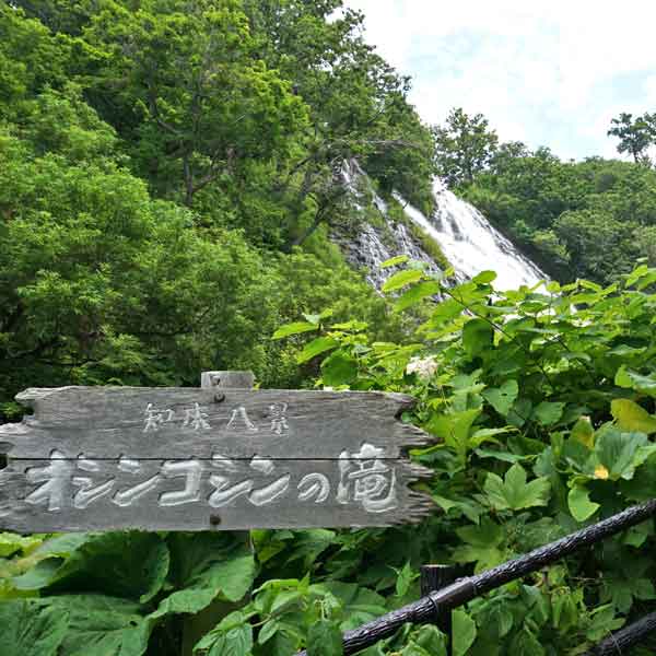 オシンコシンの滝 階段の途中