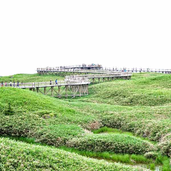 知床五湖 高架木道