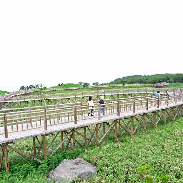 知床五湖 高架木道