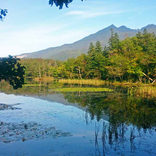知床五湖 三湖