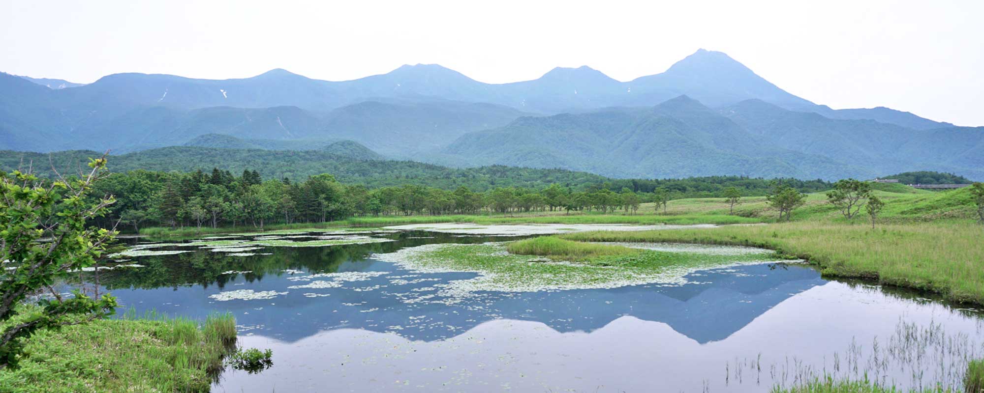 知床五湖 一湖